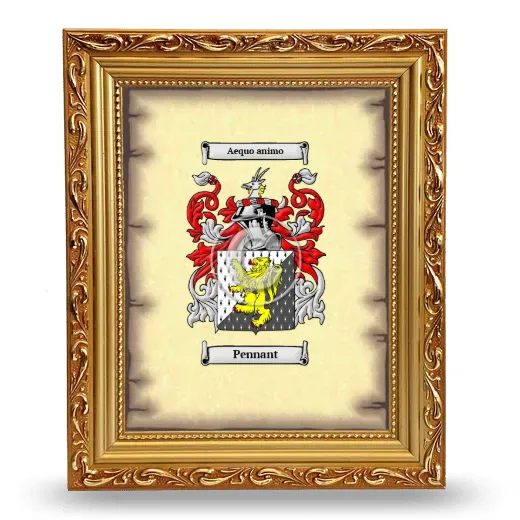 Pennant Coat of Arms Framed - Gold