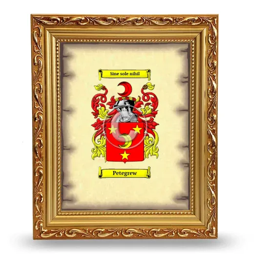 Petegrew Coat of Arms Framed - Gold
