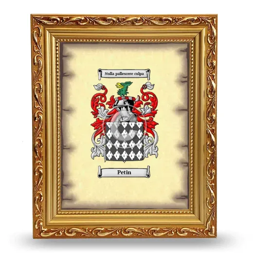 Petin Coat of Arms Framed - Gold