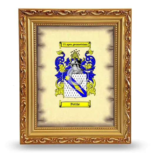 Pettie Coat of Arms Framed - Gold