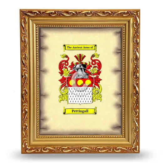 Pettingall Coat of Arms Framed - Gold