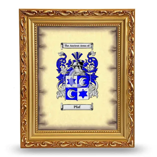 Pfaf Coat of Arms Framed - Gold