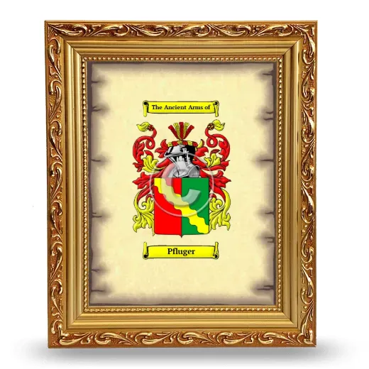 Pfluger Coat of Arms Framed - Gold