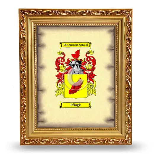 Pflugk Coat of Arms Framed - Gold