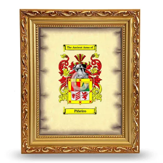 Piñeiro Coat of Arms Framed - Gold