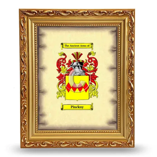 Pinckny Coat of Arms Framed - Gold