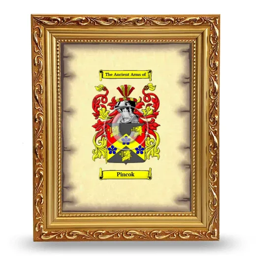 Pincok Coat of Arms Framed - Gold