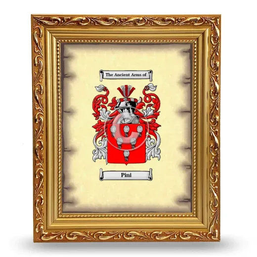 Pini Coat of Arms Framed - Gold