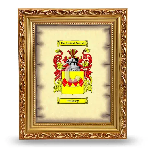 Pinkney Coat of Arms Framed - Gold