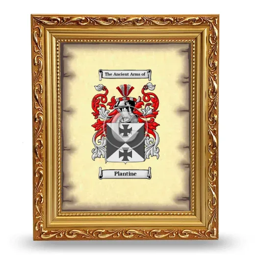 Plantine Coat of Arms Framed - Gold