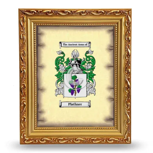Plathner Coat of Arms Framed - Gold
