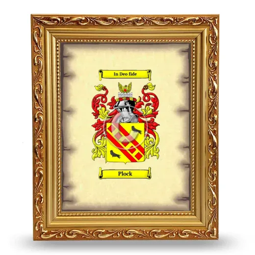 Plock Coat of Arms Framed - Gold