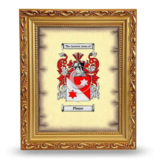Plume Coat of Arms Framed - Gold