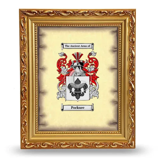 Pocknee Coat of Arms Framed - Gold