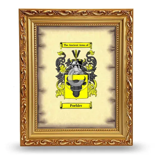 Poehler Coat of Arms Framed - Gold