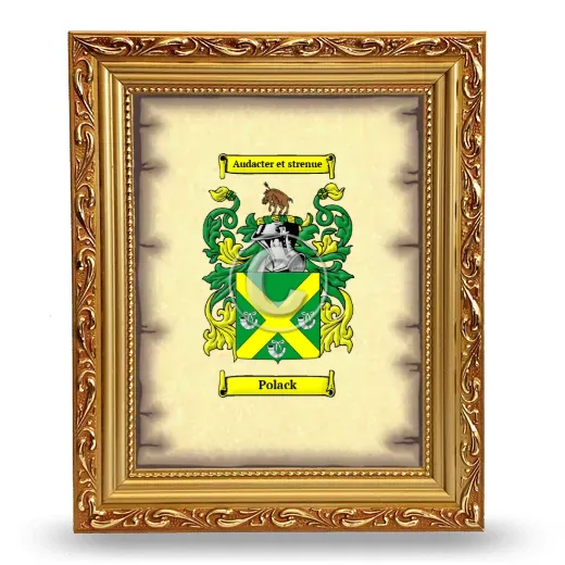Polack Coat of Arms Framed - Gold
