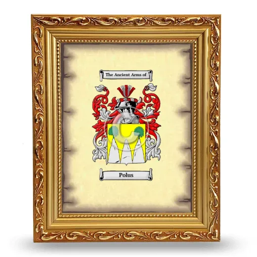 Polus Coat of Arms Framed - Gold
