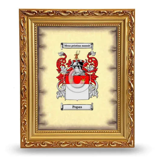 Popas Coat of Arms Framed - Gold