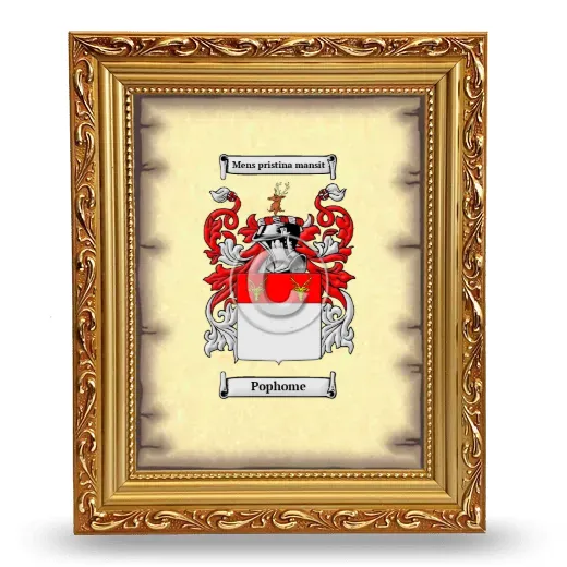 Pophome Coat of Arms Framed - Gold