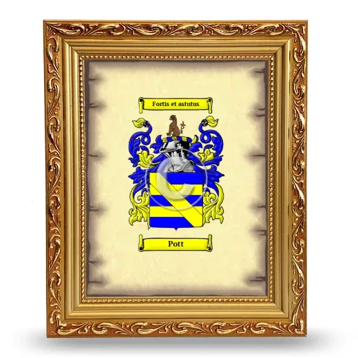 Pott Coat of Arms Framed - Gold