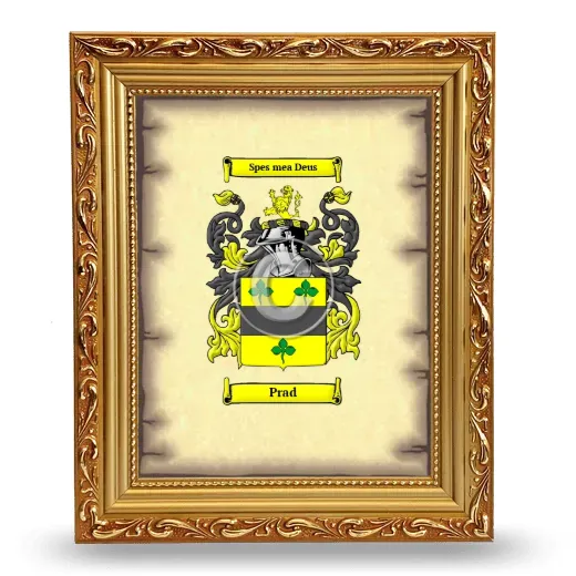 Prad Coat of Arms Framed - Gold