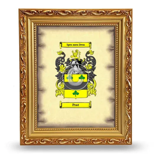 Prat Coat of Arms Framed - Gold