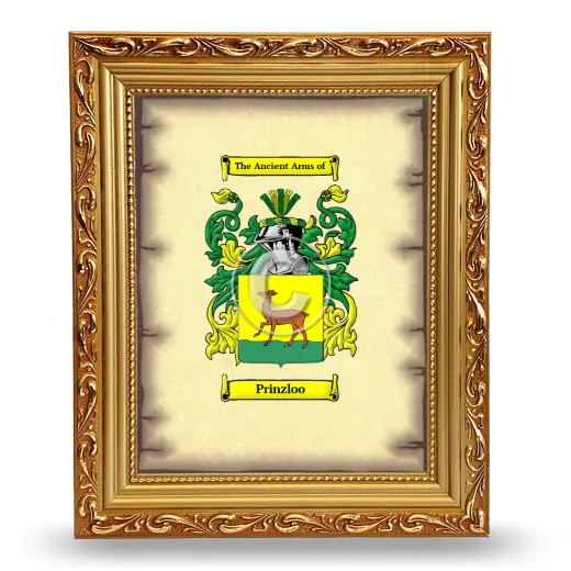 Prinzloo Coat of Arms Framed - Gold