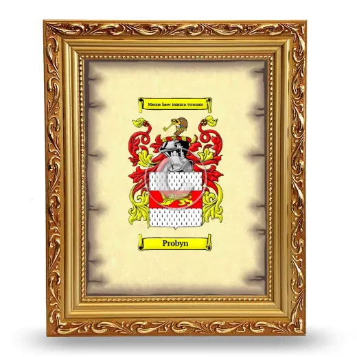 Probyn Coat of Arms Framed - Gold