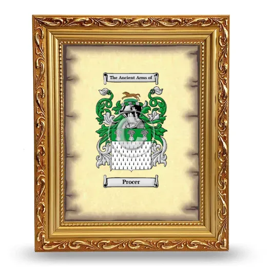 Procer Coat of Arms Framed - Gold