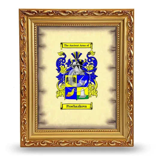 Prochazkova Coat of Arms Framed - Gold