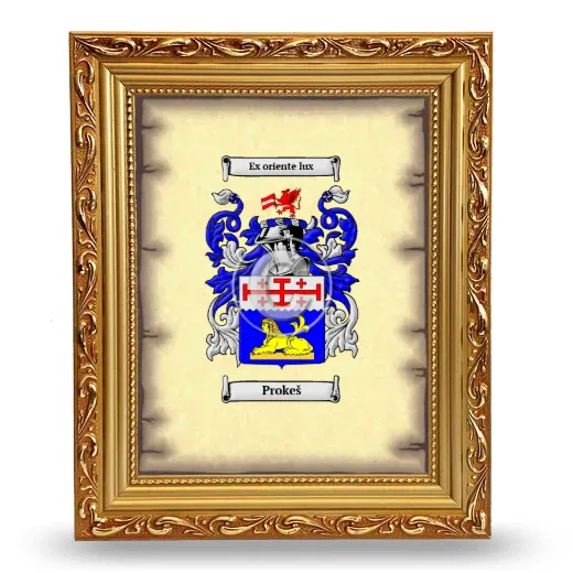 Prokeš Coat of Arms Framed - Gold