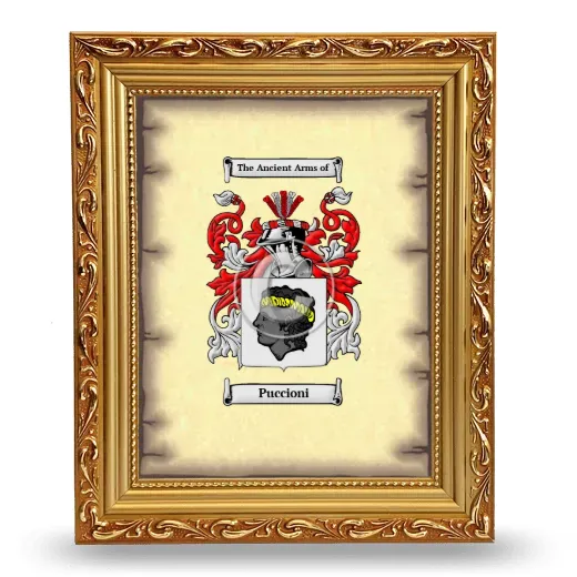 Puccioni Coat of Arms Framed - Gold