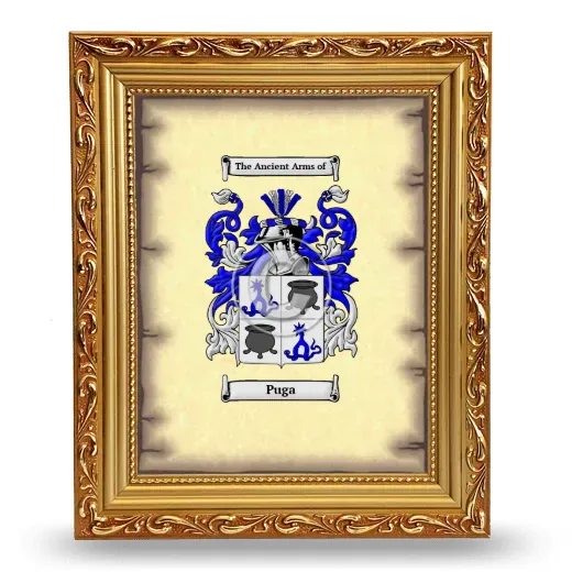 Puga Coat of Arms Framed - Gold