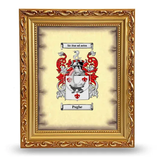 Pughe Coat of Arms Framed - Gold