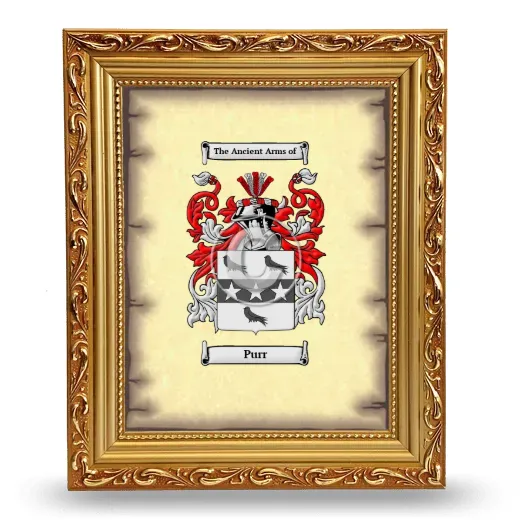 Purr Coat of Arms Framed - Gold