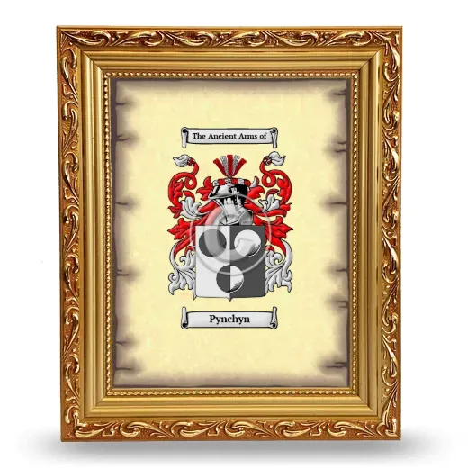 Pynchyn Coat of Arms Framed - Gold