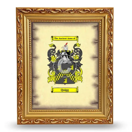 Quigg Coat of Arms Framed - Gold