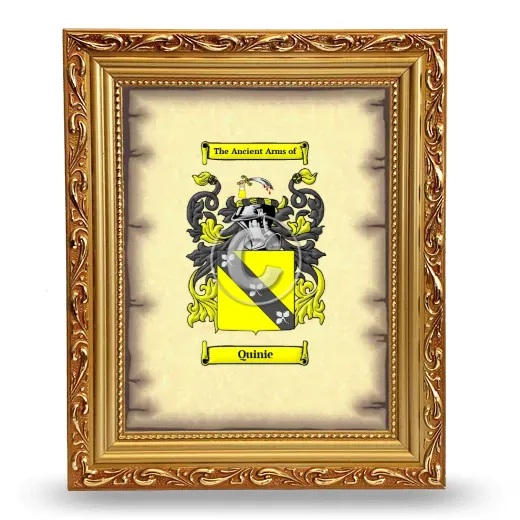 Quinie Coat of Arms Framed - Gold