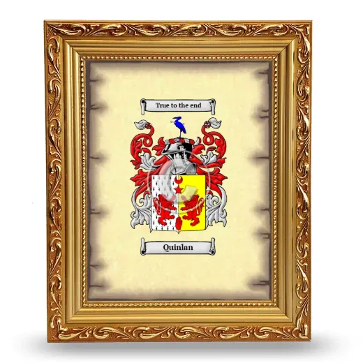 Quinlan Coat of Arms Framed - Gold