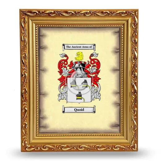 Quoid Coat of Arms Framed - Gold