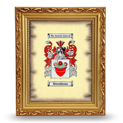 Rösenbaum Coat of Arms Framed - Gold