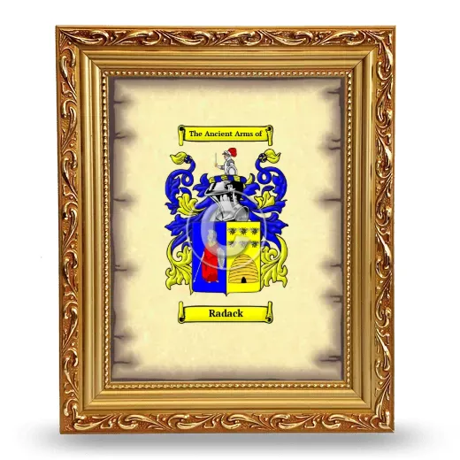 Radack Coat of Arms Framed - Gold