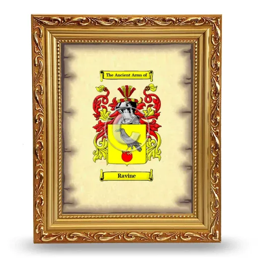 Ravine Coat of Arms Framed - Gold