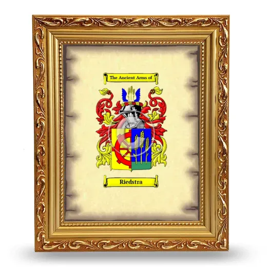 Riedstra Coat of Arms Framed - Gold
