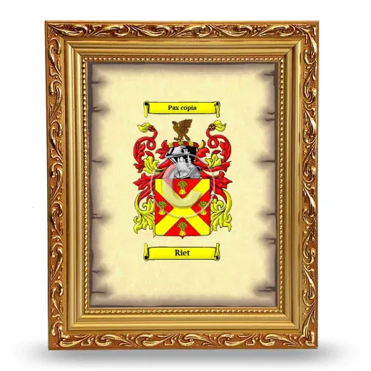 Riet Coat of Arms Framed - Gold