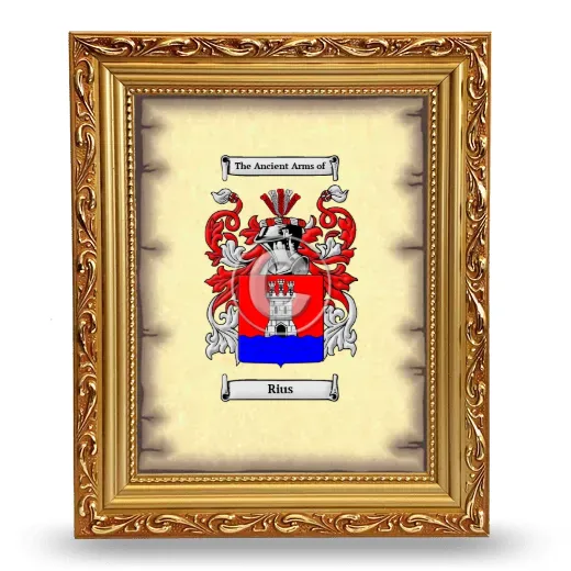 Rius Coat of Arms Framed - Gold