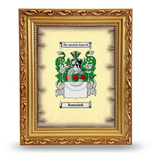 Romañuk Coat of Arms Framed - Gold