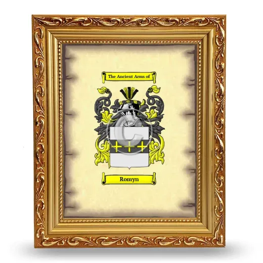 Romyn Coat of Arms Framed - Gold