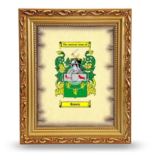 Roney Coat of Arms Framed - Gold