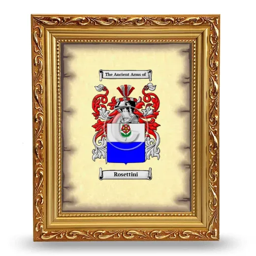 Rosettini Coat of Arms Framed - Gold
